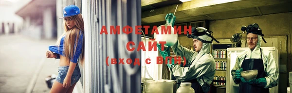 ПСИЛОЦИБИНОВЫЕ ГРИБЫ Ельня