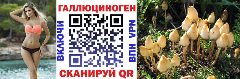 Купить  Михайлов  Псилоцибиновые грибы Psilocybe 